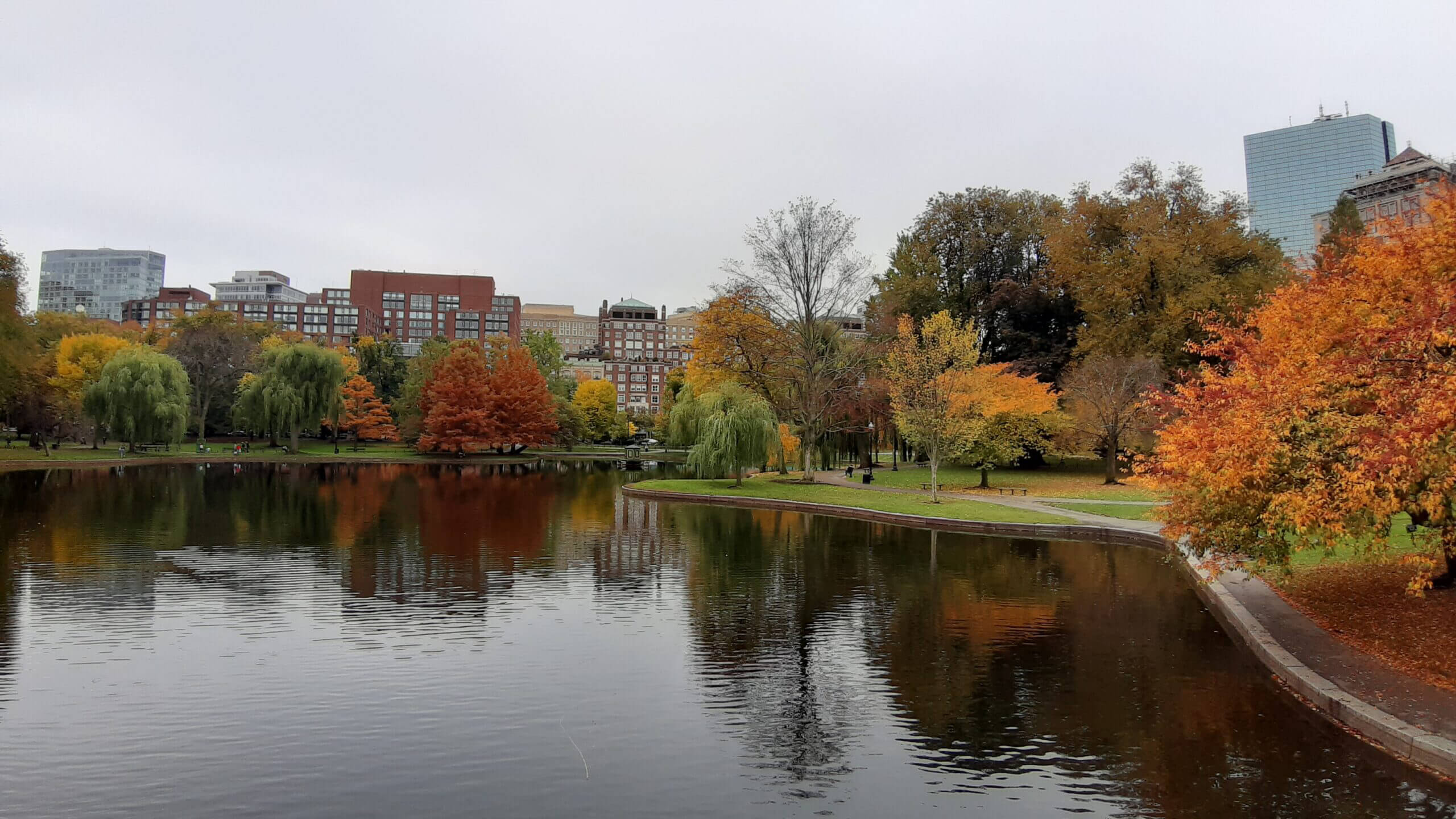 Autumn trees in Boston Common